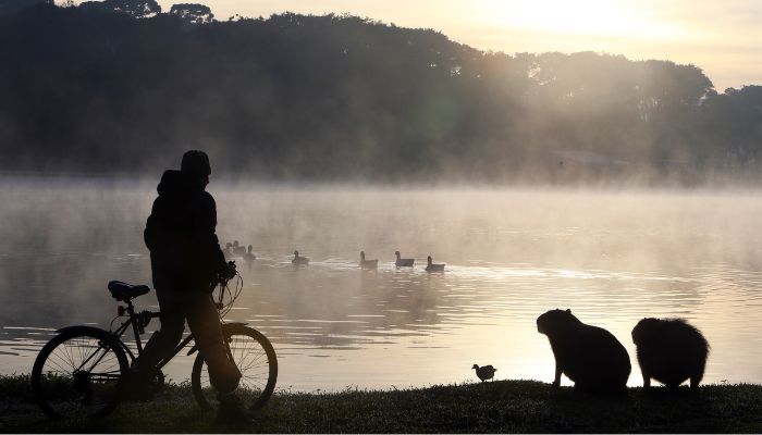 Foto: Orlando Kissner/Arquivo AEN Após recordes de frio em todo o Paraná na quinta, termômetros vão cair ainda mais